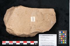 Foto (Objekt + Etikett) von Araucaria sternbergii Goeppert (NHMW-GEO-2024-0188-8272)